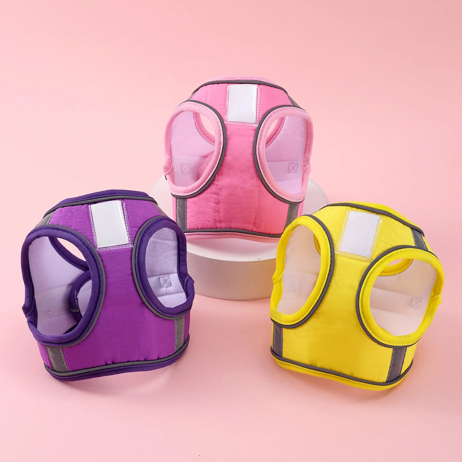 CityWalk Pet Harness Kit