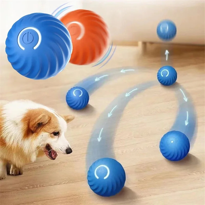 Pet Motion Ball