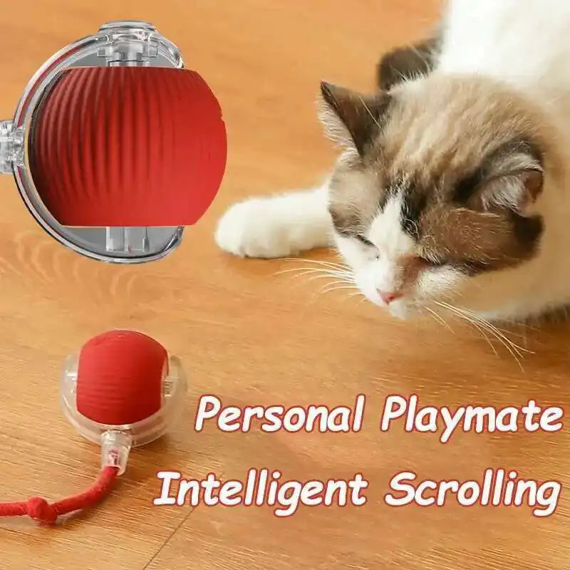 Smart Pet Ball