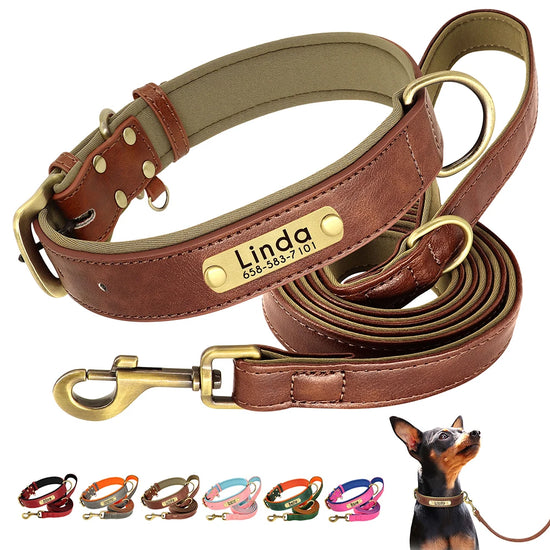Soft Padded Leather Collar Set