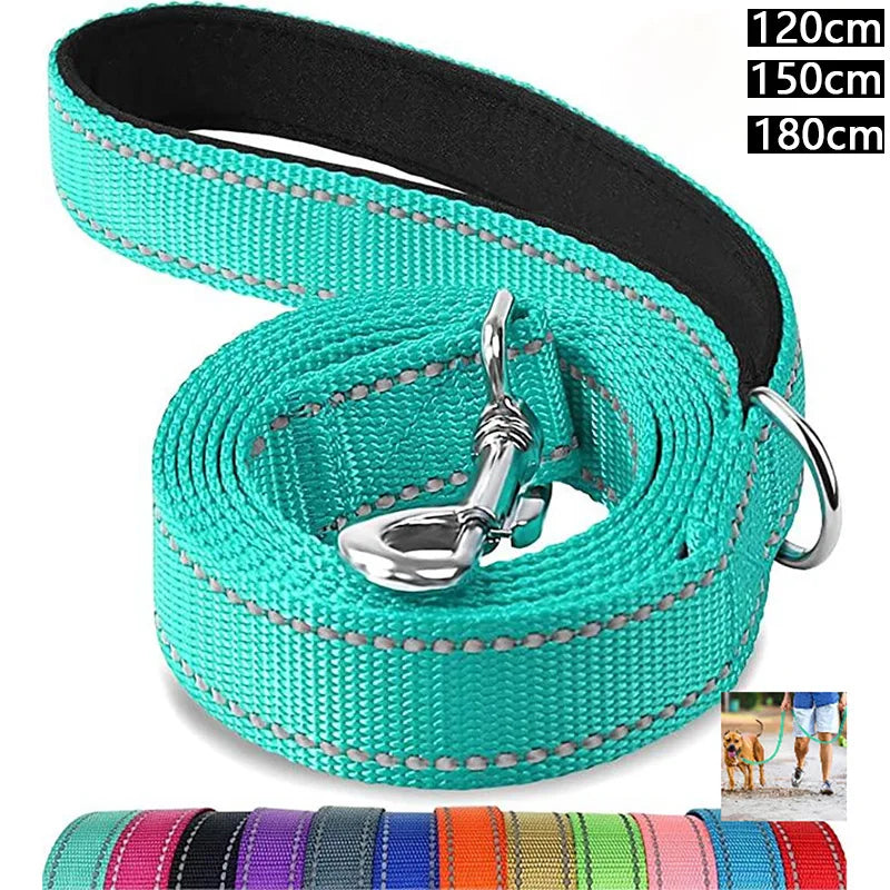 CityWalk Reflective Leash