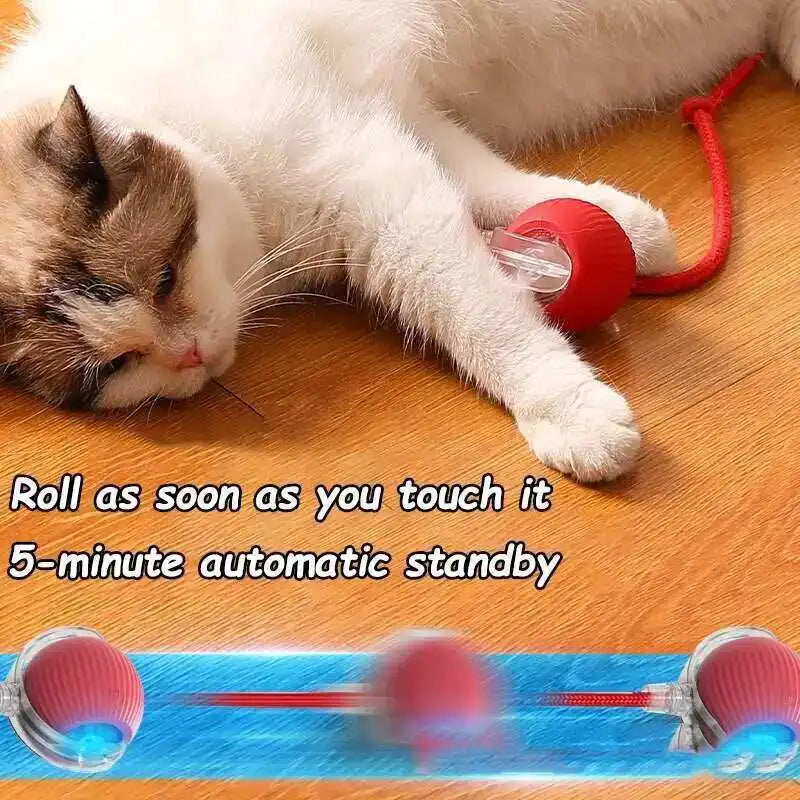 Smart Pet Ball