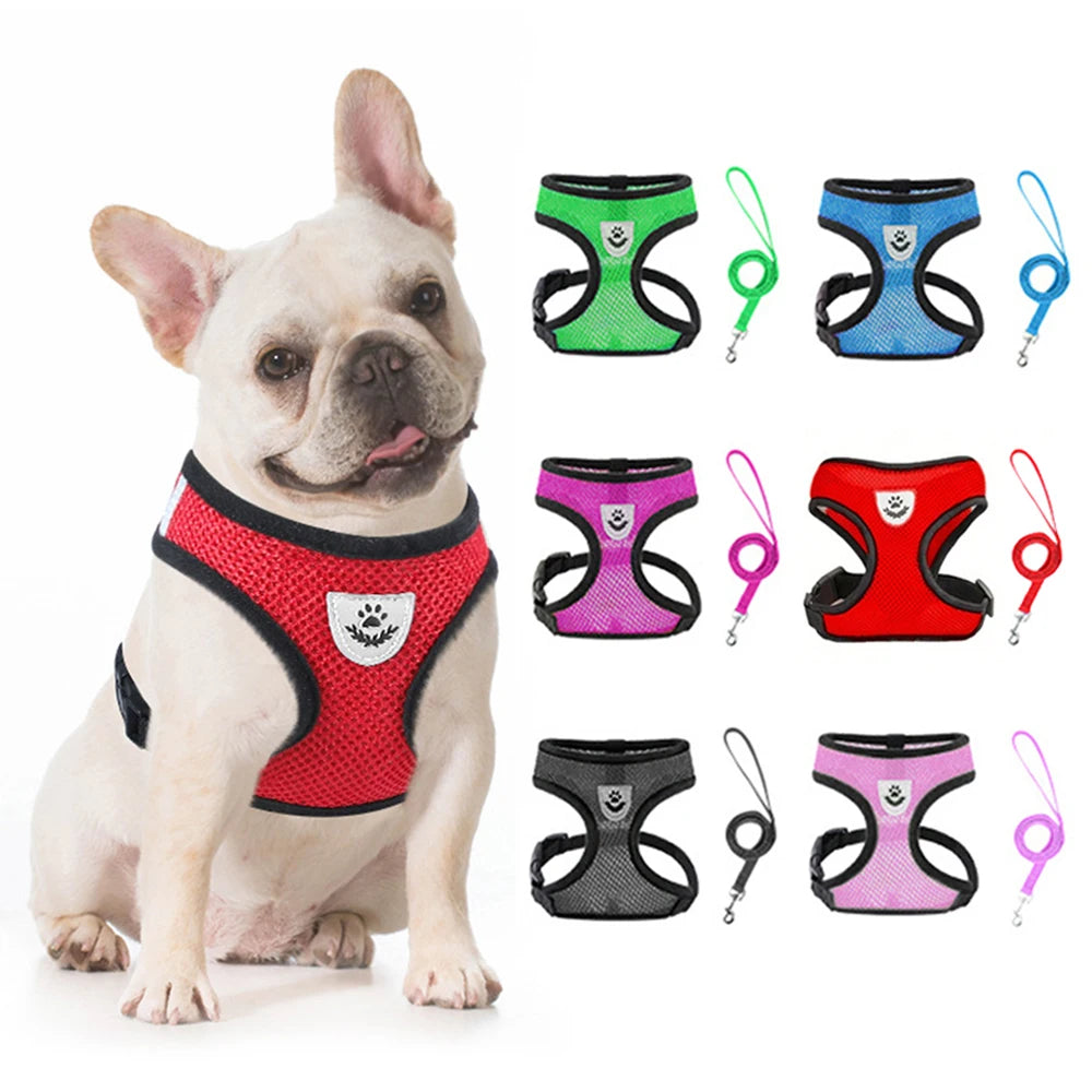 AirFlo Pet Harness Set