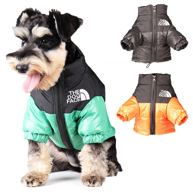 Dog Coat