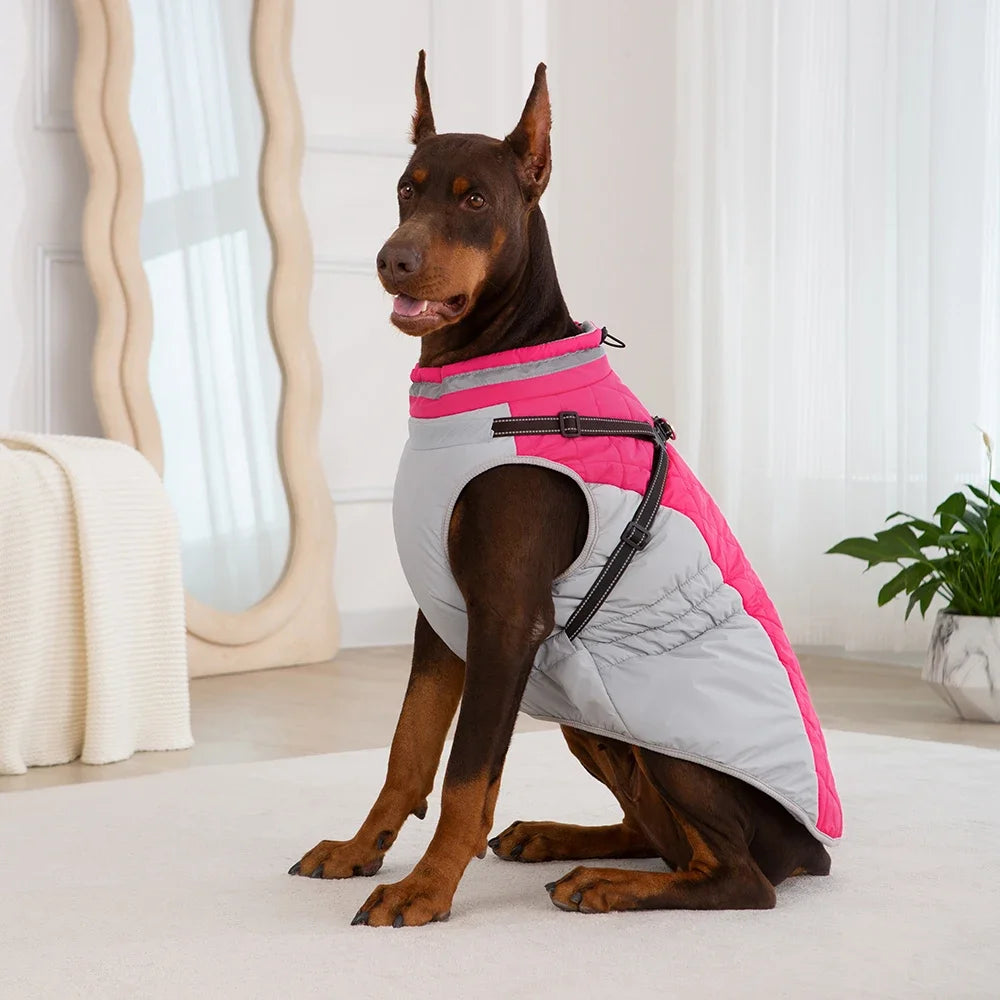 Winter Dog Coat