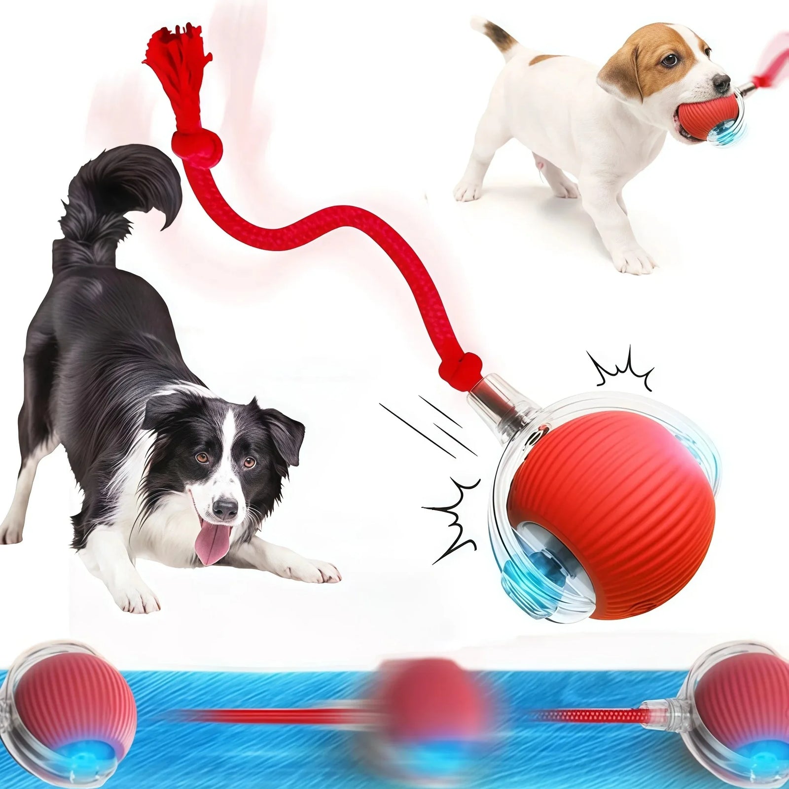 Smart Pet Ball